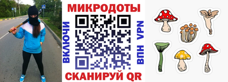 Псилоцибиновые грибы мицелий  hydra   Красный Сулин 